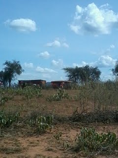 masai homestead